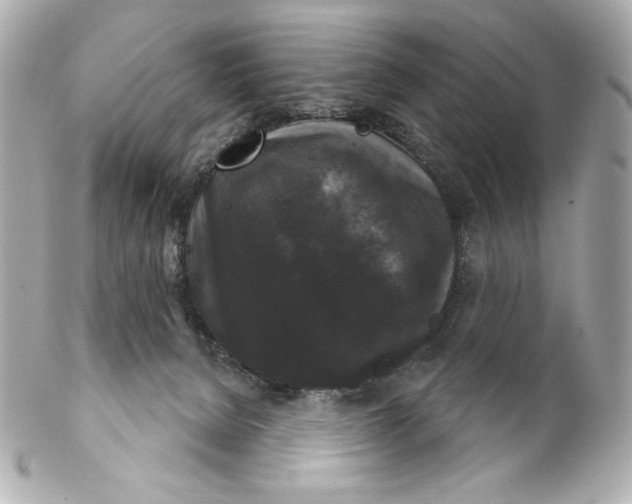 X0000102240080200808151803