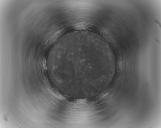 X0000102240081200808151803