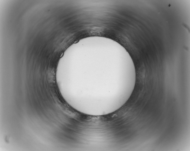 X0000102240083200808151803