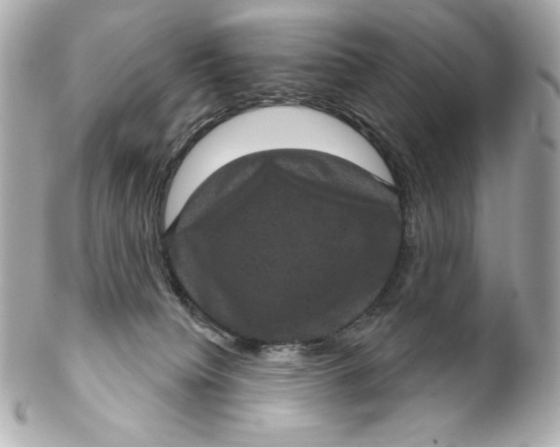 X0000102240084200808151803