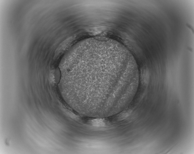 X0000102240085200808151803