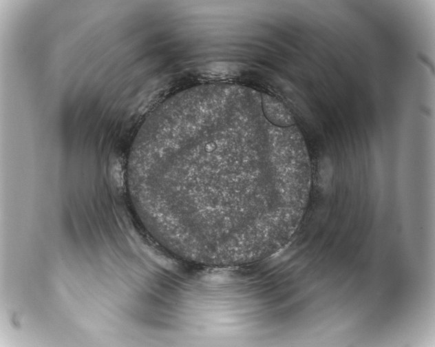 X0000102240086200808151803