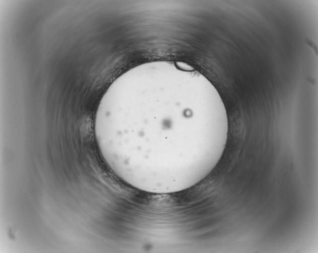 X0000102240087200808151803