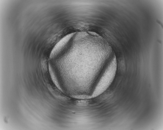 X0000102240088200808151803