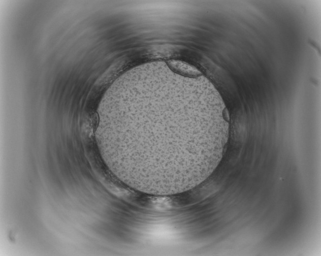 X0000102240091200808151803