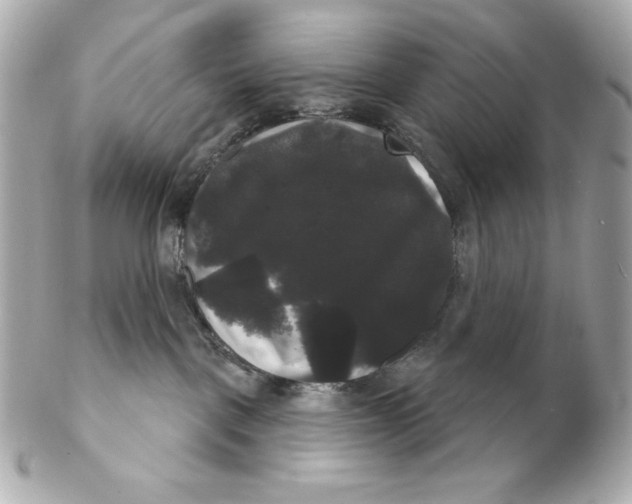 X0000102240093200808151803