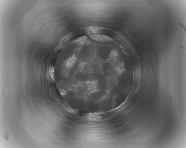 X0000102240094200808151803