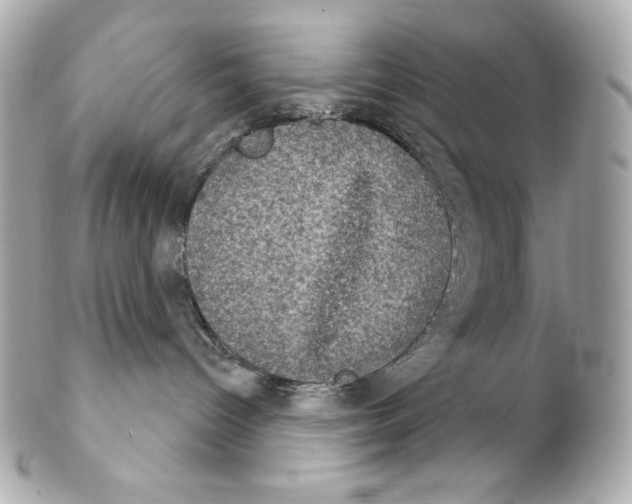 X0000102240096200808151803