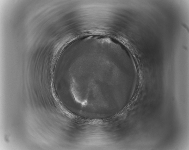 X0000102240097200808151803