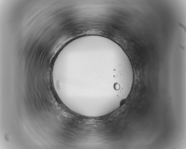 X0000102240098200808151803