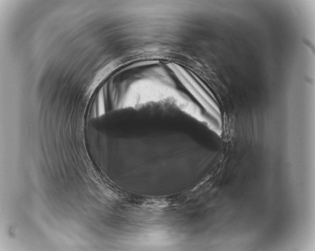 X0000102240099200808151803