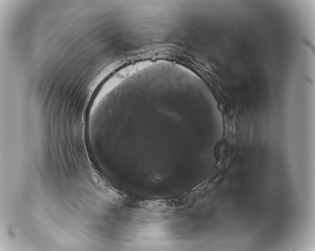 X0000102240100200808151803