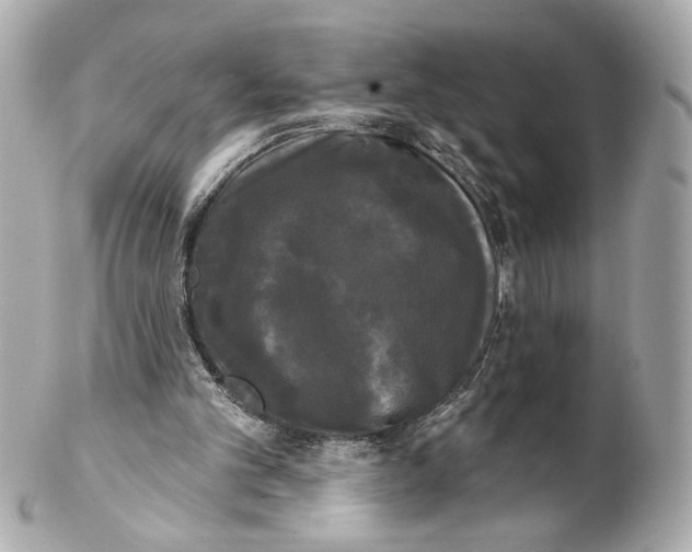 X0000102240101200808151803