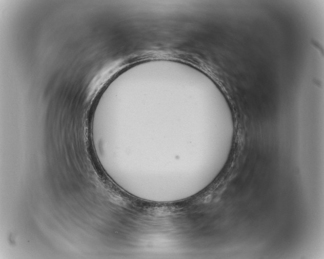 X0000102240103200808151803