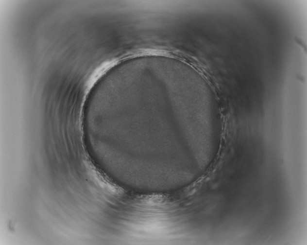 X0000102240104200808151803