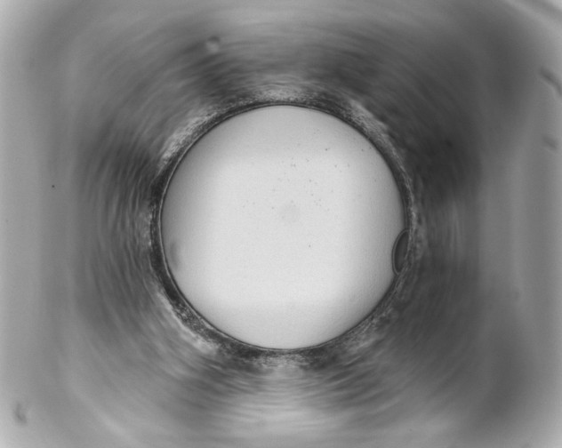 X0000102240106200808151802