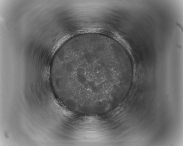 X0000102240107200808151802