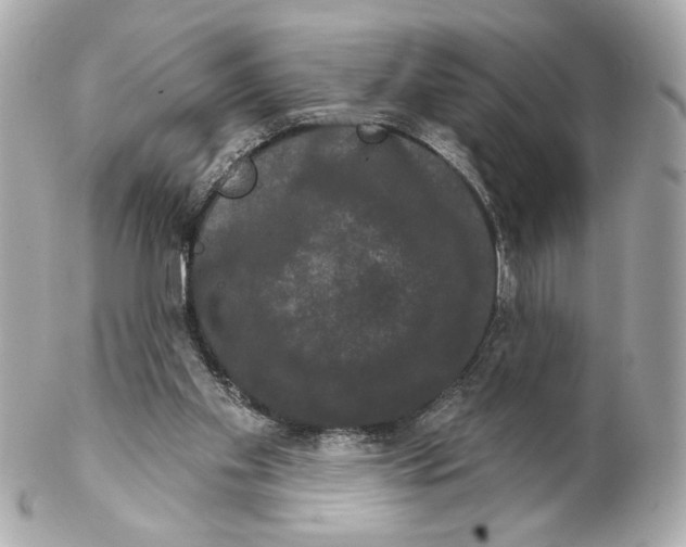 X0000102240109200808151802