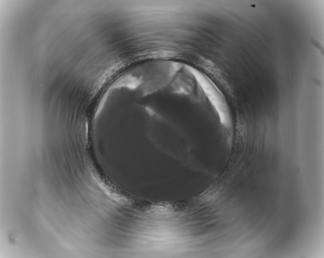 X0000102240110200808151802