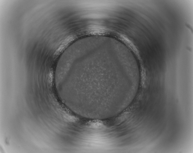 X0000102240113200808151802