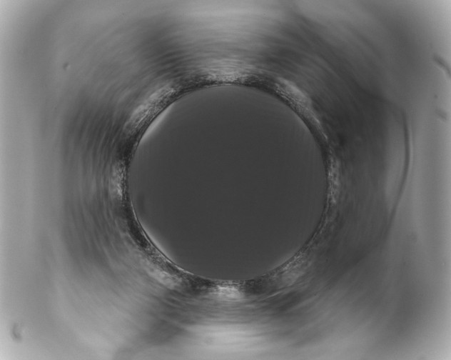 X0000102240114200808151802