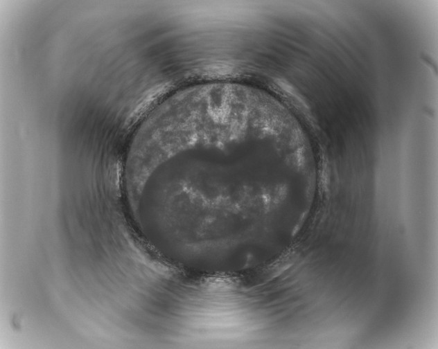 X0000102240115200808151802