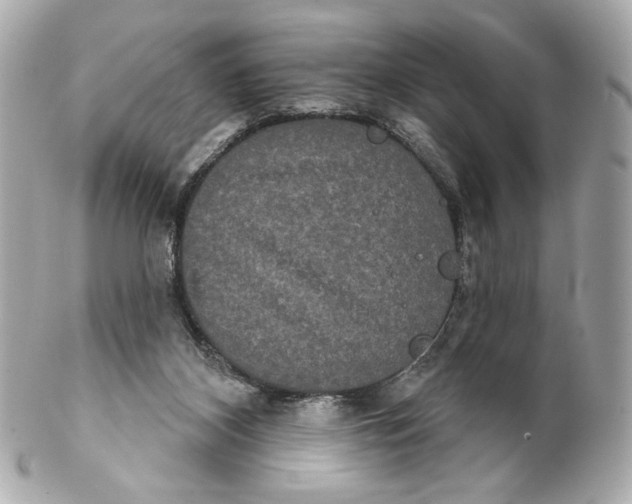 X0000102240116200808151802