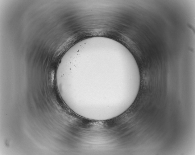 X0000102240118200808151802