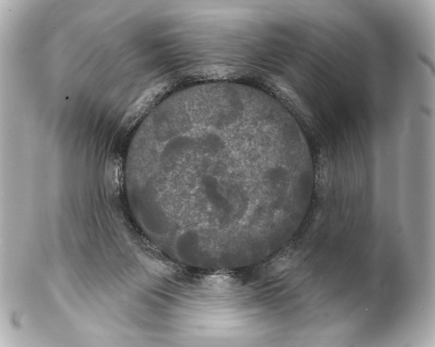 X0000102240119200808151802