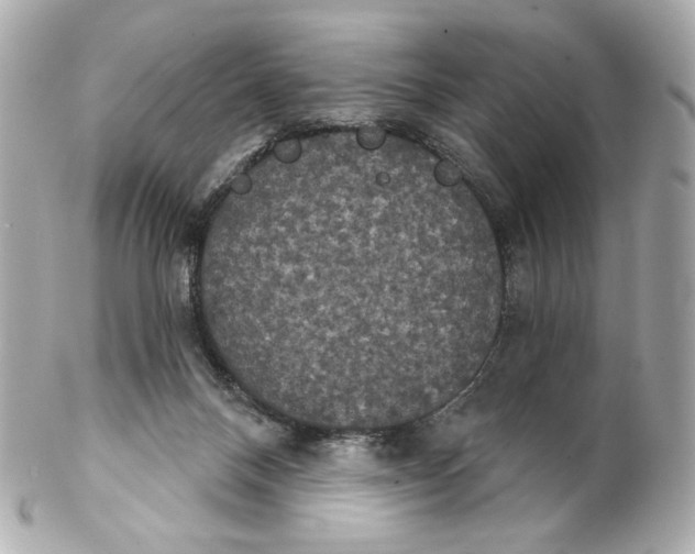 X0000102240120200808151802