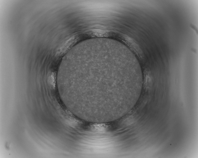 X0000102240121200808151802