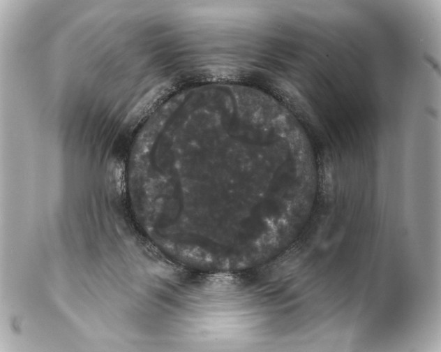 X0000102240123200808151802