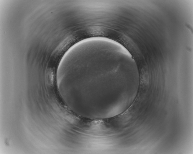 X0000102240124200808151802