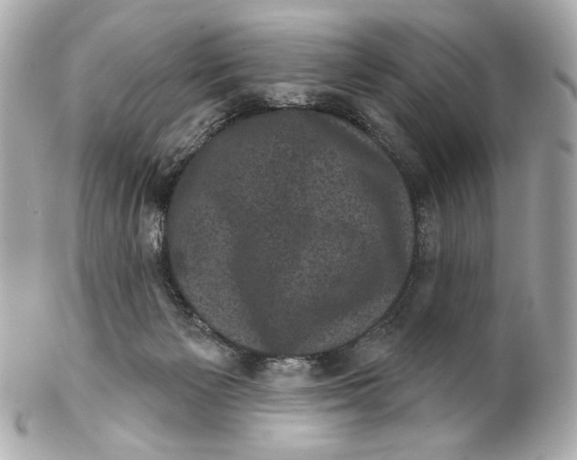 X0000102240125200808151802