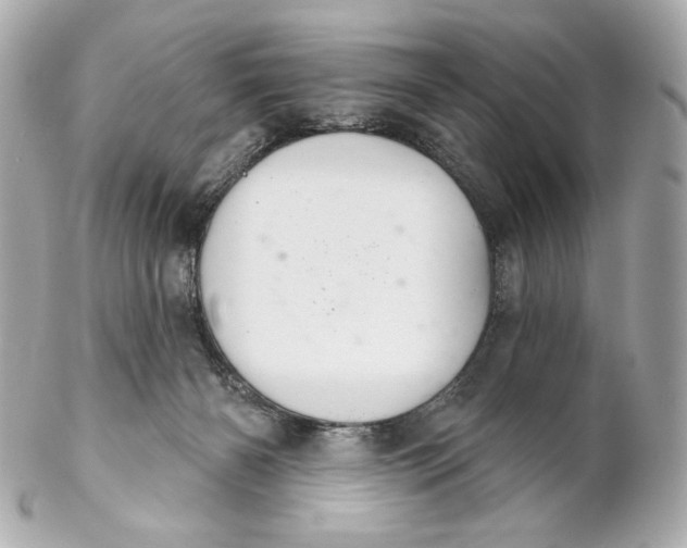 X0000102240126200808151802