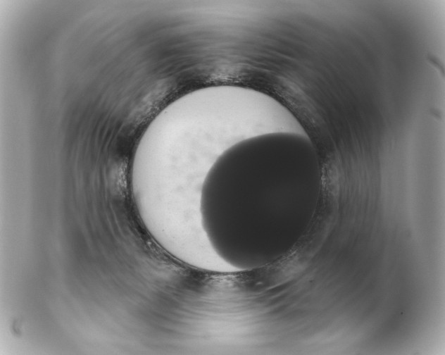 X0000102240127200808151802