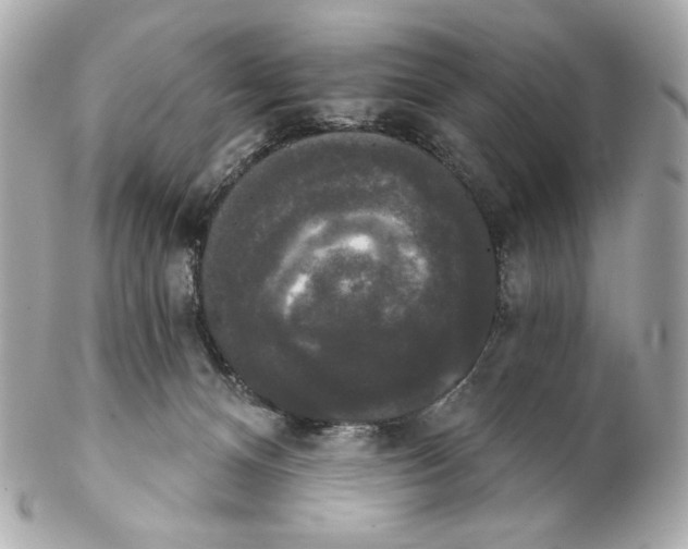 X0000102240128200808151802