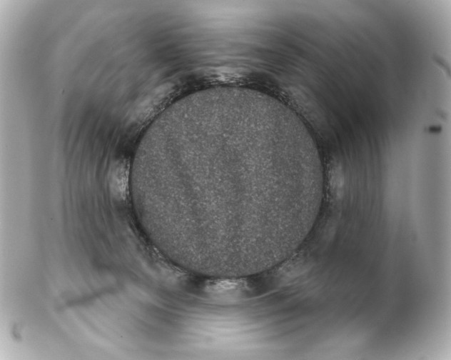 X0000102240129200808151802