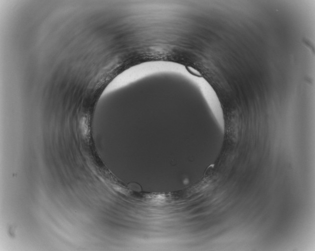 X0000102240131200808151802