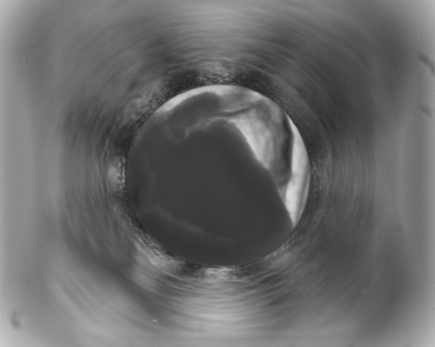 X0000102240134200808151802