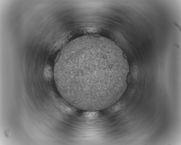 X0000102240135200808151802