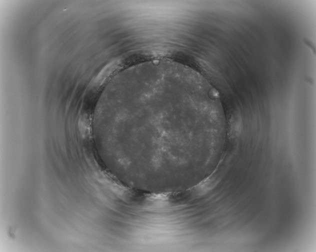 X0000102240140200808151802