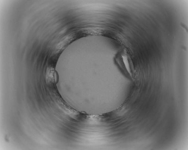 X0000102240141200808151802