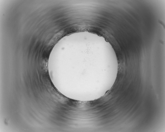 X0000102240142200808151802