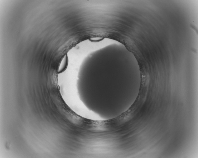 X0000102240143200808151802