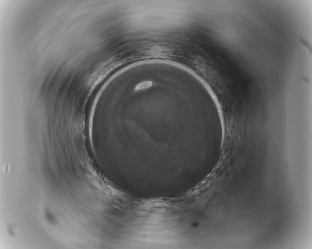 X0000102240146200808151801