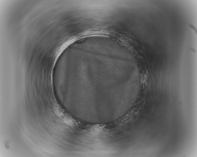 X0000102240148200808151801