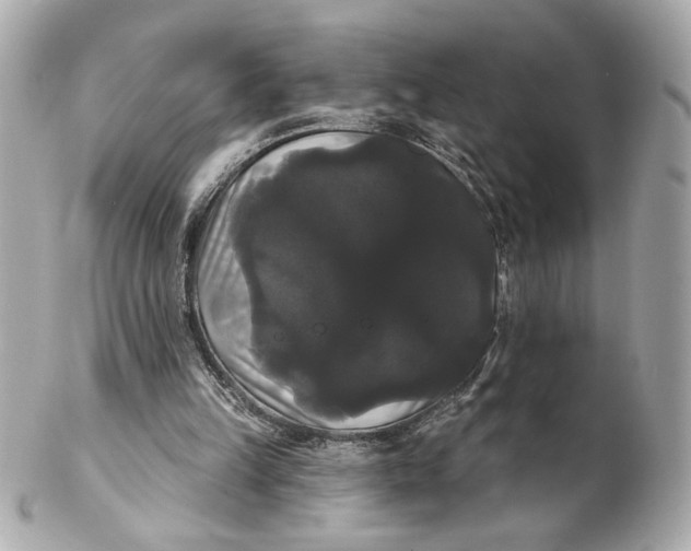 X0000102240149200808151801