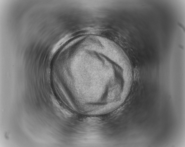 X0000102240150200808151801