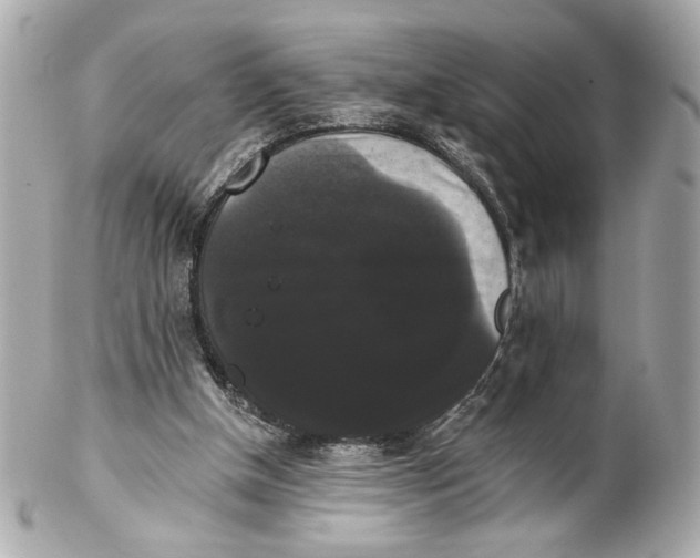 X0000102240154200808151801